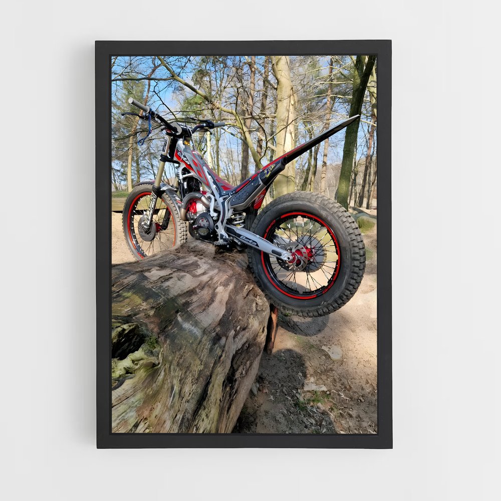 Poster Nature Ride – affiche Beta (vue 2)